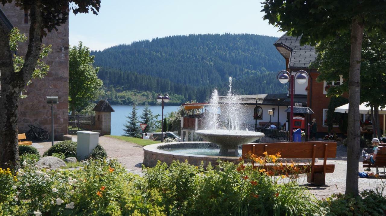 Waldblick Daire Schluchsee Dış mekan fotoğraf